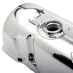 Farba proszkowa chrom premium