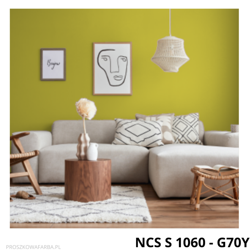 Farba Proszkowa NCS S 1060 - G70Y