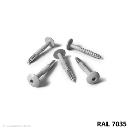 RAL 7035 Poliestrowa Szary Jasny MAT 1 kg