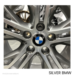 Zestaw Farba Proszkowa SILVER BMW + KLAR BEZBARWNY GŁADKI POŁYSK