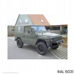 FARBA PROSZKOWA RAL 6031