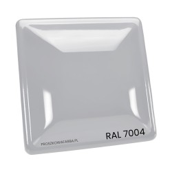 Farba Proszkowa RAL 7004